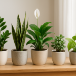 Kompozycja roślin odpornych na zaniedbanie w doniczkach